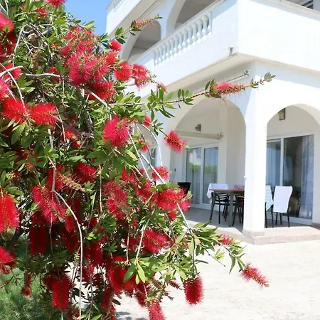 Apartment Green 3 * Rab Town